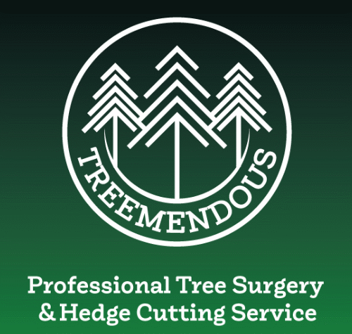 Treemendous © Starisé