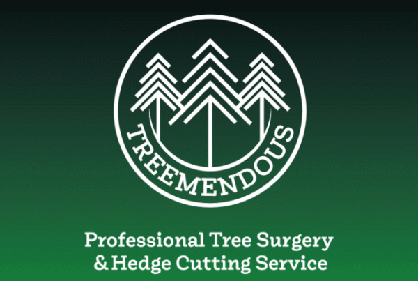 Treemendous © Starisé